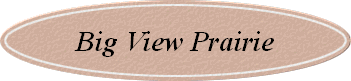 Big View Prairie