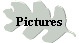 Pictures