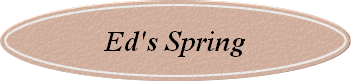 Ed's Spring