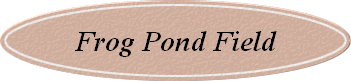Frog Pond Field