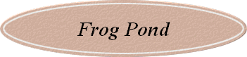 Frog Pond