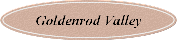 Goldenrod Valley
