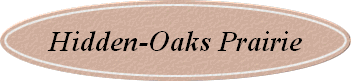 Hidden-Oaks Prairie