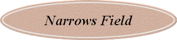 Narrows Field