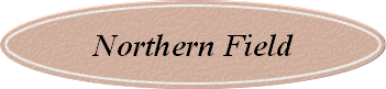Northern Field