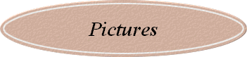 Pictures