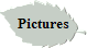 Pictures