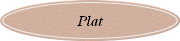 Plat