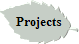Projects