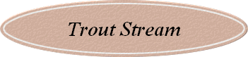 Trout Stream