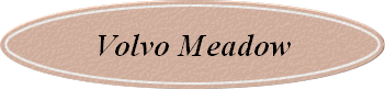 Volvo Meadow