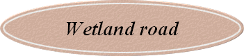 Wetland road