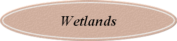 Wetlands