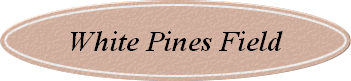 White Pines Field