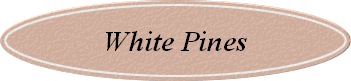 White Pines