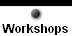  Workshops 